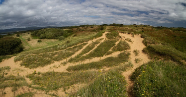 Kenfig Hill Sand Dunes